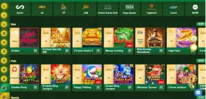 PAKWIN88 Game | A Modern Gaming Platform Delivering Entertainment, Variety And Earning 2