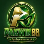 PAKWIN88 Game